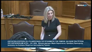 Ολόκληρη η συγκλονιστική κατάθεση της Μαρίας Καρυστιανού