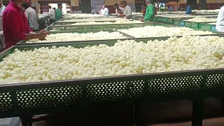 sericulture Market, Sidlaghatta, Karnataka