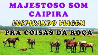 MAJESTOSO SOM DA VIOLA INSPIRANDO A VIAGEM PRA COISAS DA ROÇA