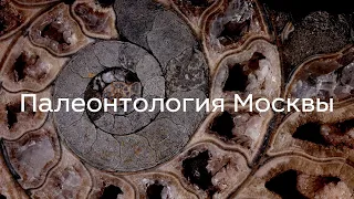 Палеонтология Москвы