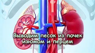 Выводим ПЕСОК ИЗ ПОЧЕК изюмом и перцем