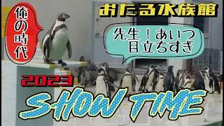 『おたる水族館』愉快なペンギンショー字幕付き2023悪目立ちして何が悪い！