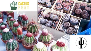 Cactus Fest 2022