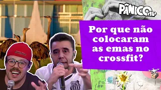 FÁBIO PORCHAT E PROFESSOR VILLA CHORAM A MORTE DAS EMAS DE BOLSONARO