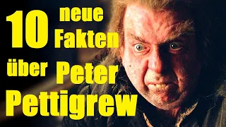 10 NEUE FAKTEN über PETER PETTIGREW 🐀
