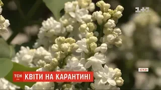 Тепла зима та рання весна завчасно розбудили природу в Україні