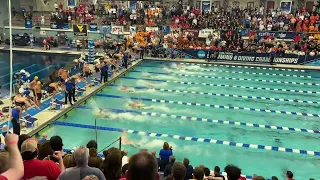 1:13.35 200 Free Relay NCAA Record (Florida) - 2023 Men's NCAA Championships