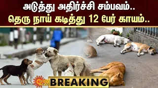 BREAKING : அடுத்து அதிர்ச்சி சம்பவம்.. தெரு நாய் கடித்து 12 பேர் காயம்.. | Street Dog | Sun News