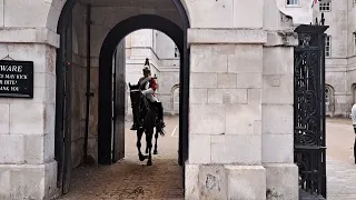 Man whistles and a wasp sends kings guard  Horse crazy 28/9/22 #horseguardsparade