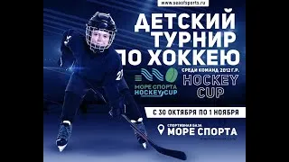 Море Спорта Hockey Cup ХК Темп - ХК Бор 2012 гр
