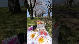 Picnic under the Sakura 🌸🥰Would like to experience this? 🥺❤️ #shorts #japan