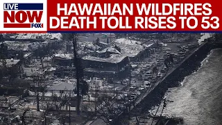 Maui fires: 53 people killed in Hawaii, death toll expected to rise | LiveNOW from FOX