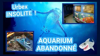 Urbex INSOLITE! 🐠 AQUARIUM Abandonné🦈 #urbex #abandoned #shark #crocodile #amazing