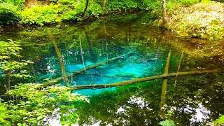 Japan Walk - Kaminokoike Pond / Shiretoko (神の子池 / 知床) - Hokkaido