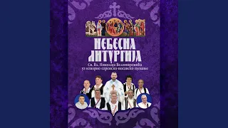 Nebesna liturgija Sv. Vl. Nikolaja Velimirovića - Drugi dio