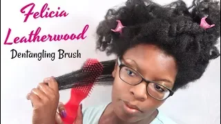 Review of Felicia Leatherwood's Detangling Brush | Thick 4 Type Hair