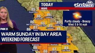 Tampa weather: Comfortable highs on Sunday
