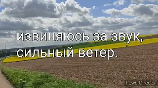 Мой повторный курс В1. Ответы на Ваши вопросы. Почему переехала из Польши.