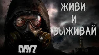 ИЗУЧАЕМ 3 ТИР И БУНКЕРЫ НА ПРОЕКТЕ ЖИВИ И ВЫЖИВАЙ PVE #dayz