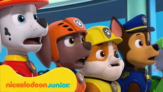 PAW Patrol : La Pat' Patrouille | Les aventures de la tour de contrôle avec Chase | Nickelodeon Jr.