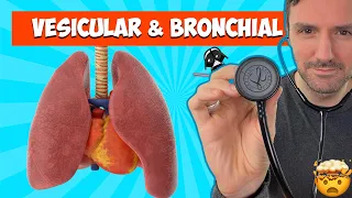 Lung sounds for beginners: Vesicular and Bronchial breath sounds #lungsounds