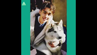 Wu Lei 吴磊 Who Loves the Animals