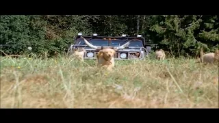 Air Buddies Trailer Slow Motion 2x