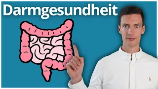 Darmgesundheit verbessern: Schritt-für-Schritt-Anleitung