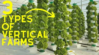 Vertical Farming 2023 | 3 Different  Types Of Vertical Farms