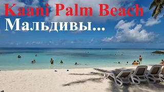 Маафуши!) "Kaan Palm Beach", снорклинг, немного острова!)