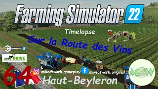 FS 22 Haut - Beyleron 64 🚜 "Una giornata di relax" (Timelapse)