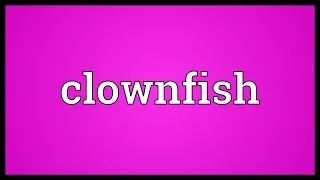 Clownfish Meaning