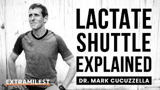 How to use lactate shuttle to improve your running performance.