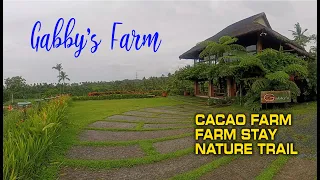 Gabby's farm