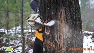 How to Make a Basic Wildlife Cavity with Jeremiah Sandler -  TreeStuff Community Expert Vide