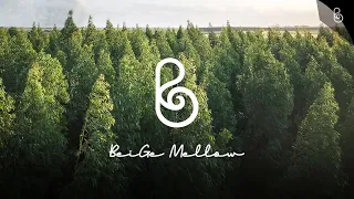 🌳Ultimate relaxation, new age music therapy for the mind