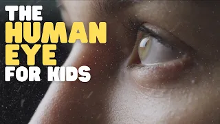 The Human Eye for Kids | Learn why and how eyes allow us to see