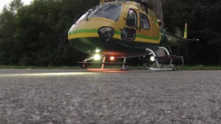 Roban AS350 700 size super scale (short video)