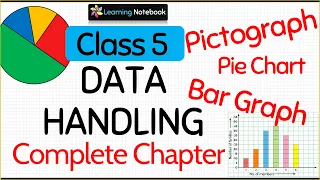 Class 5 Data Handling Complete Chapter