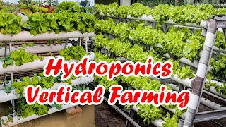 Hydroponic Farming | Next Gen Farming Without Soil and 90% Less Water | Vertical Farms