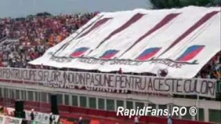 Rappa - Alb Visiniu | Rapid | RapidFans