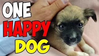 This Adorable Baby Puppy was ABANDONED near the Graveyard: What Happens Next Will Melt Your Heart