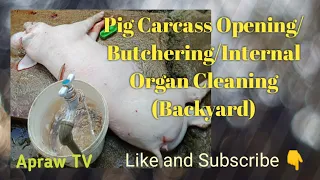 How to do Pig Carcass Opening/Butchering/Internal Organ Cleaning (Backyard)