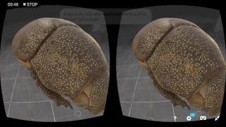 Set up VR experiences in minutes on Sketchfab