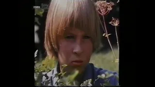 "ТАЙНОЕ ЛЕТО" | ЛАРС ФОН ТРИЕР (1969)