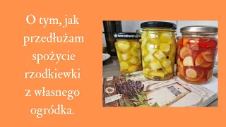 Rzodkiewka w słoikach. #radish #canning #ocet