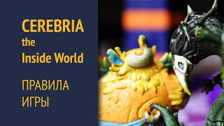 Cerebria: The Inside World — Правила игры