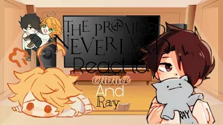 The Promised Neverland react || Rayemma || •Kylo•