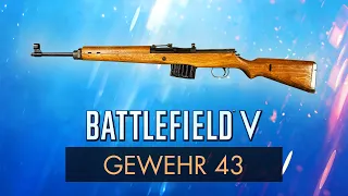 Battlefield 5: GEWEHR 43 REVIEW ~ BF5 Weapon Guide (BFV)
