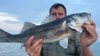 Lure Fishing for Bass in June